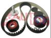 RENAU 130C11321R Timing Belt Kit